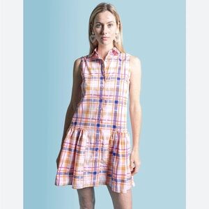 The Shirt by Rochelle Behrens Plaid Dropped Waist Dress in Small